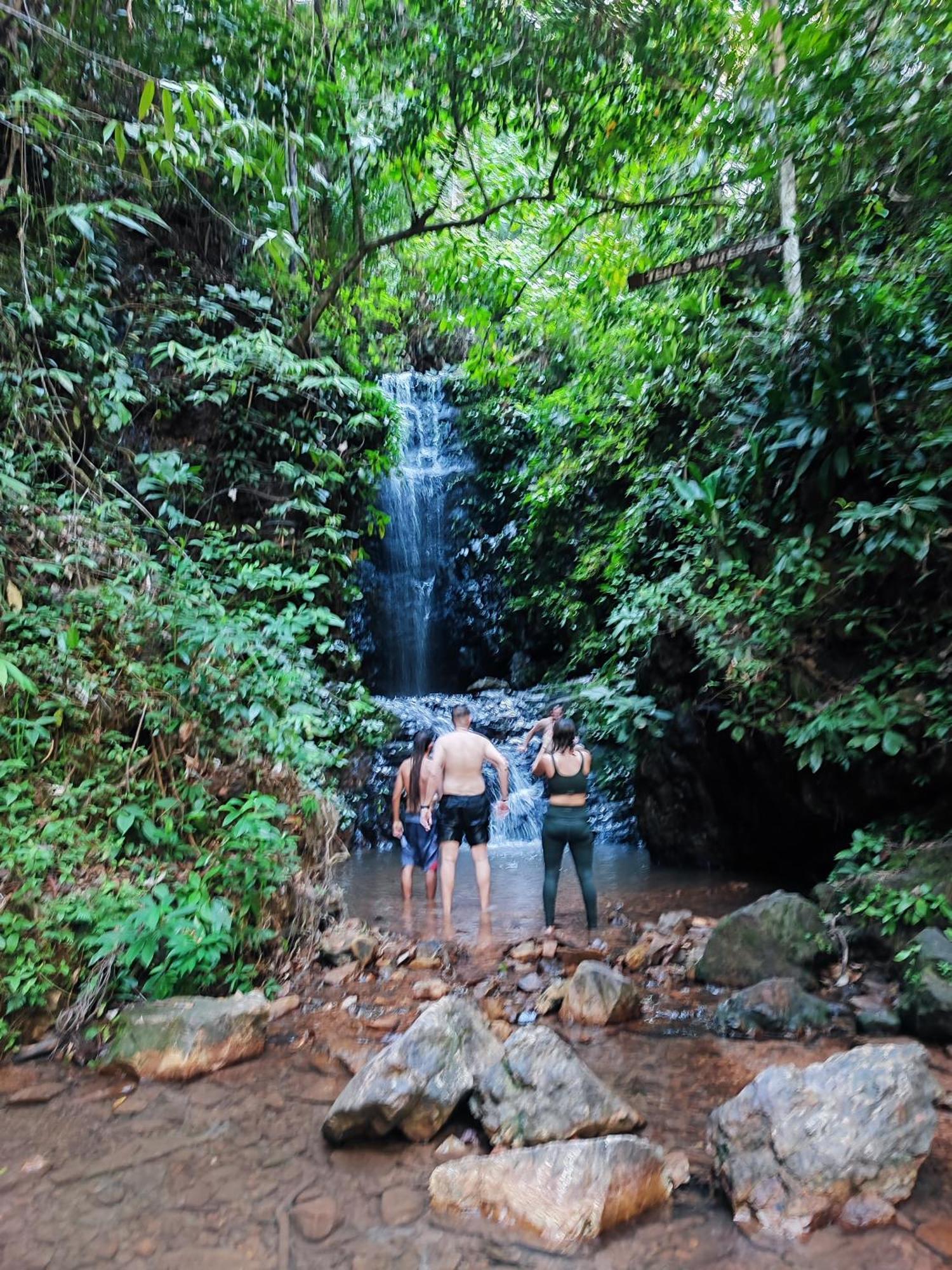 Tekoma Resort Taman Negara Куала Тахан Екстериор снимка